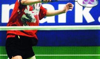 世界男单羽毛球排名 世界男单羽毛球排名